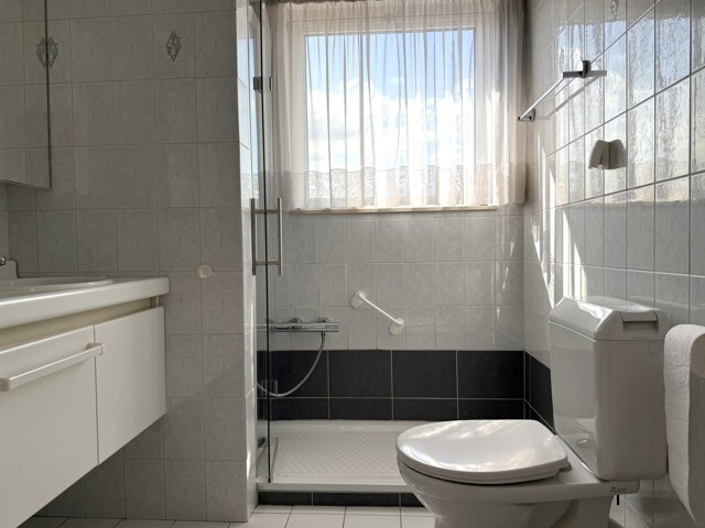 Dakappartement 12