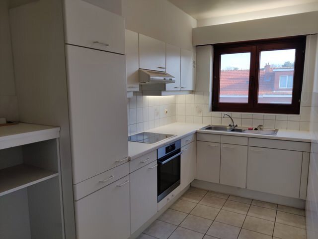 Beukenlei 5 2L 2026 5