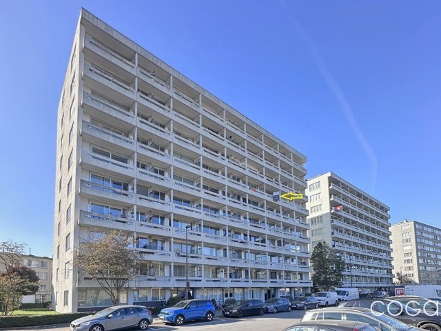 7900554 1