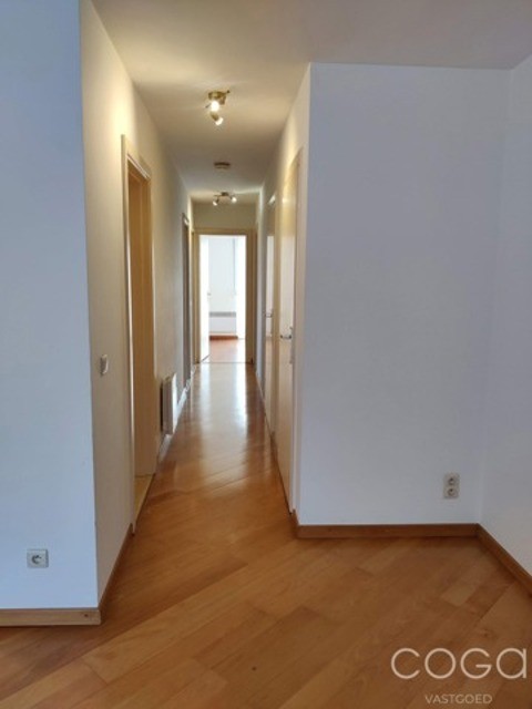Kerklei 30 1L 2026 3